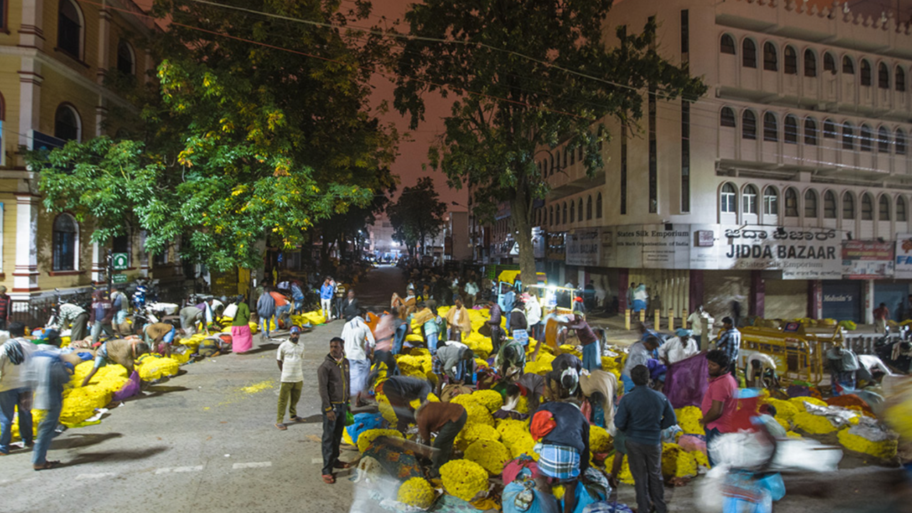 24 hours in Mysuru